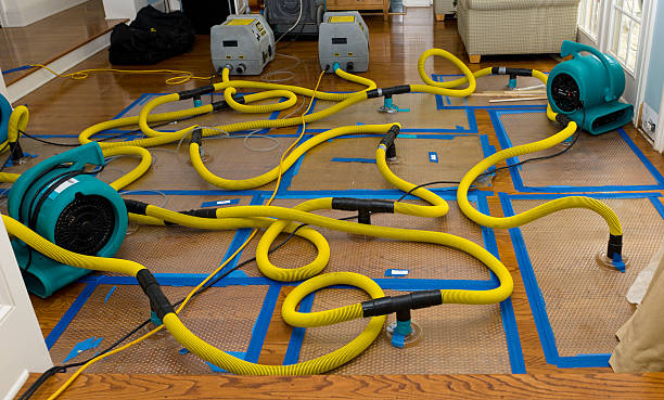 Professional Sewage Cleanup technician working in Poolville, TX